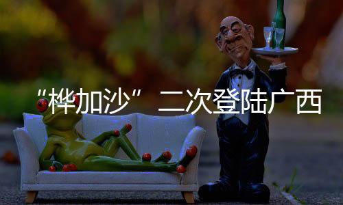 “桦加沙”二次登陆广西北海沿海 登陆时强度为热带风暴