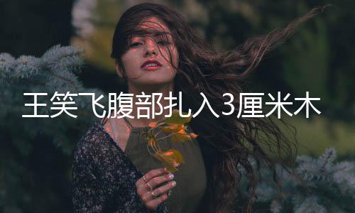 王笑飞腹部扎入3厘米木刺坚持完赛 男队获奥运资格