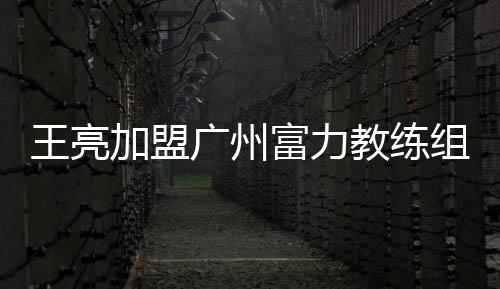 王亮加盟广州富力教练组任一线队助教 王亮资料履历