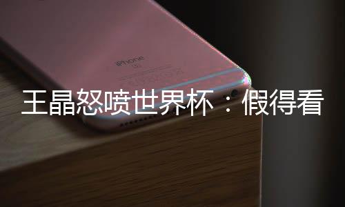 王晶怒喷世界杯：假得看不下去 做球做到天地不容