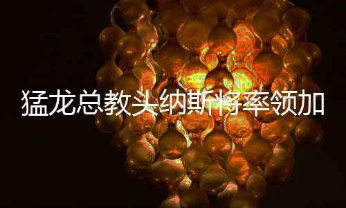 猛龙总教头纳斯将率领加拿大男篮征战世界杯