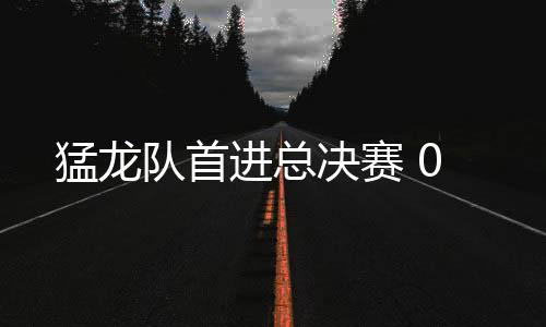 猛龙队首进总决赛 0