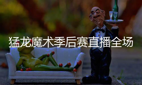 猛龙魔术季后赛直播全场视频回放 猛龙29分胜魔术1