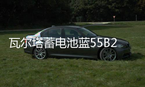 瓦尔塔蓄电池蓝55B24R适配威志威姿森雅熊猫奇瑞Q3汽车电瓶 蓝标