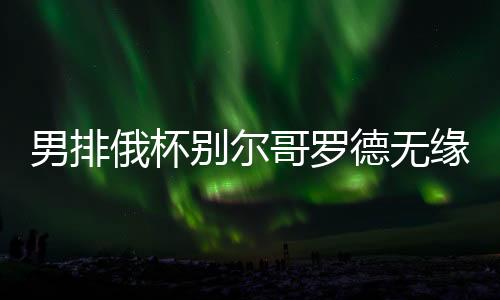 男排俄杯别尔哥罗德无缘4强 次回合完败张景胤9分