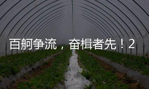 百舸争流,奋楫者先!2025年中国