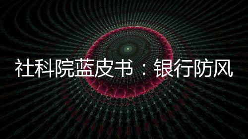 社科院蓝皮书:银行防风险从信贷延至投资类资产