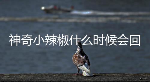 神奇小辣椒什么时候会回到意甲？主教练也是老熟人了