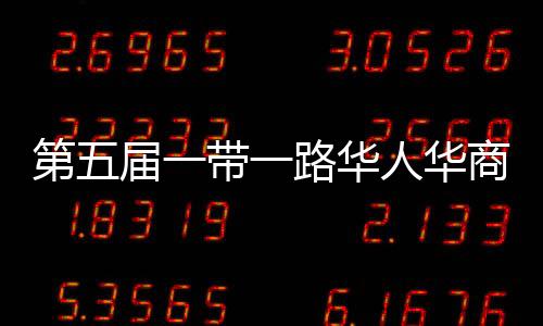 第五届一带一路华人华商足球邀请赛雅加达圆满举行