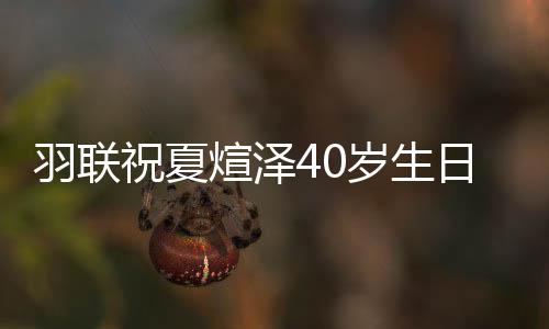 羽联祝夏煊泽40岁生日快乐 东京奥运他将迎大考