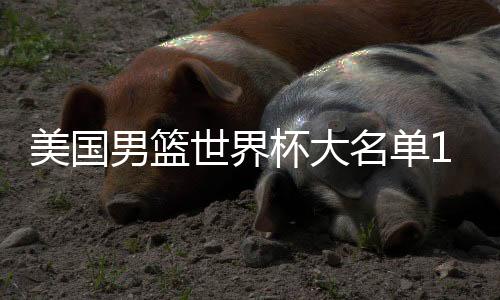 美国男篮世界杯大名单19人阵容 2019最新训练营名单