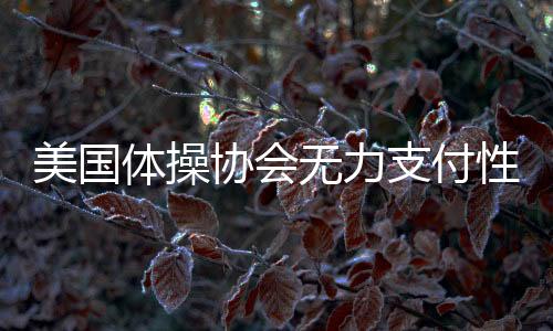 美国体操协会无力支付性侵案巨额赔偿 申请破产收入下降