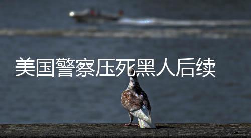 美国警察压死黑人后续 德国运动员参加“黑屏星期二”活动