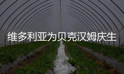 维多利亚为贝克汉姆庆生 豪宅内庆祝小贝45岁生日
