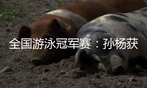 全国游泳冠军赛：孙杨获首金 比赛时间将持续到3月31日