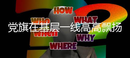 党旗在基层一线高高飘扬︱河北邯郸肥乡：党员一线抢收忙  全链减损保粮仓