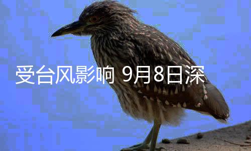 受台风影响 9月8日深湛铁路、广茂铁路全部列车停运