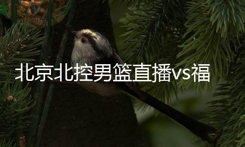 北京北控男篮直播vs福建队观看地址cba视频入口+双方阵容
