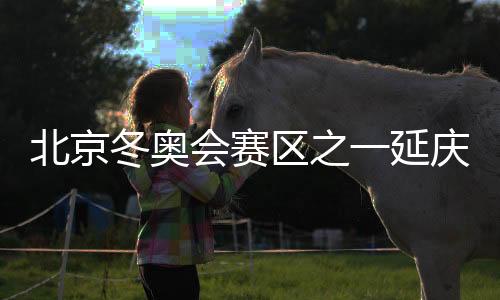 北京冬奥会赛区之一延庆首场测试赛造雪工作将完成