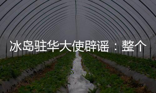 冰岛驻华大使辟谣：整个冰岛队都是由职业球员组成