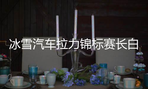 冰雪汽车拉力锦标赛长白山之巅开战 最终登顶天池主峰