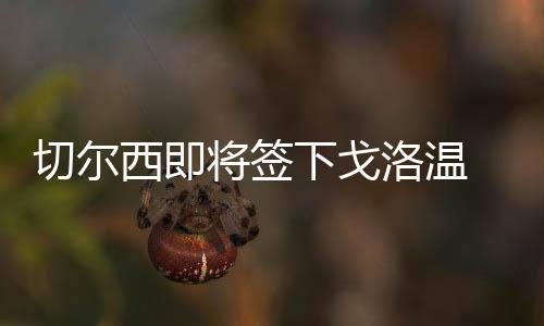 切尔西即将签下戈洛温 最快今日体检签约5年