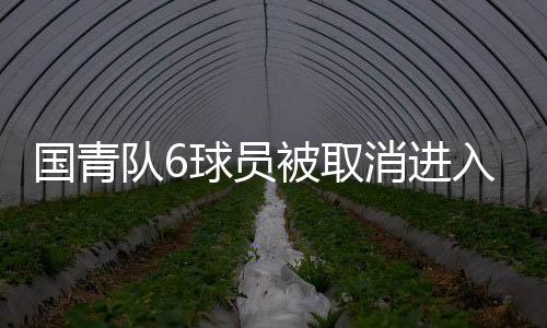 国青队6球员被取消进入国足资格 上港三球员发道歉信