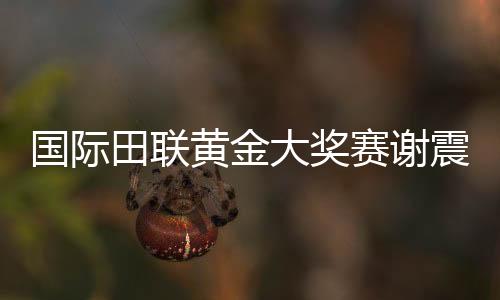 国际田联黄金大奖赛谢震业200米跑出20秒16刷新全国纪录