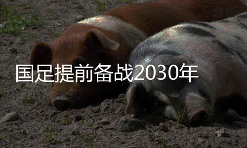 国足提前备战2030年世界杯 伊万两宗罪跑不了