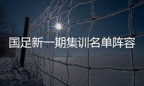 国足新一期集训名单阵容：洛国富入围 恒大5人国安6人