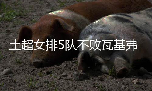 土超女排5队不败瓦基弗涉险夺首胜 费内巴切领跑