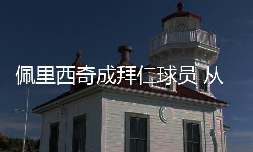 佩里西奇成拜仁球员 从米兰以租借方式加盟租期1年