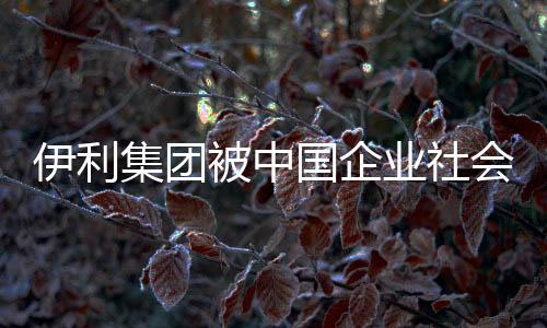 伊利集团被中国企业社会责任高峰论坛组委会授予“最具典范企业社会责任奖”