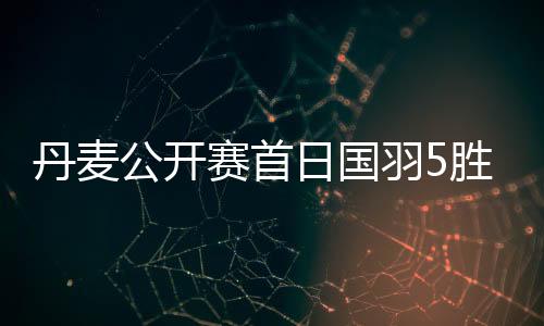 丹麦公开赛首日国羽5胜2负 任何组合输内战出局