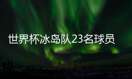 世界杯冰岛队23名球员 有22个以松或森为姓氏后缀