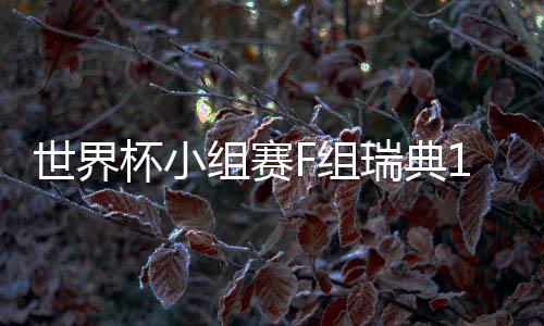 世界杯小组赛F组瑞典1