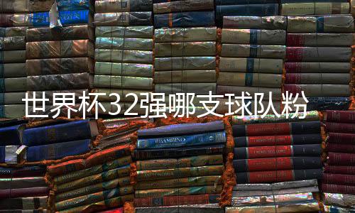 世界杯32强哪支球队粉丝数量最多：葡萄牙3.6亿