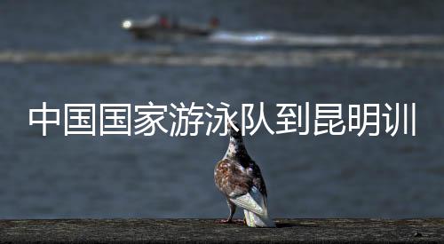 中国国家游泳队到昆明训练 备战雅加达亚运会