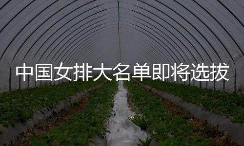 中国女排大名单即将选拔产生 体能测试为重要依据