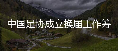 中国足协成立换届工作筹备组 组长陈戌源资料简历介绍