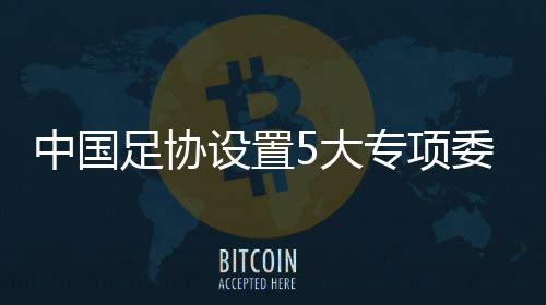 中国足协设置5大专项委员会：沈祥福孙葆洁等任主任