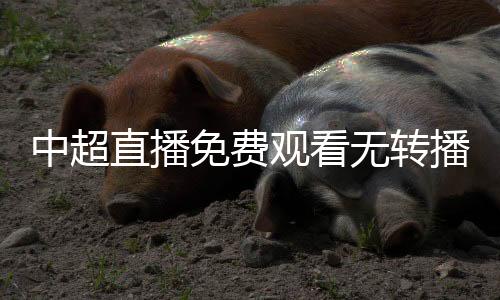 中超直播免费观看无转播费 2020中超将于7月25日揭幕