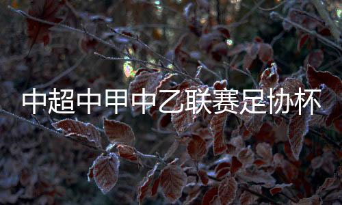 中超中甲中乙联赛足协杯比赛时间 2020新赛季日历公布