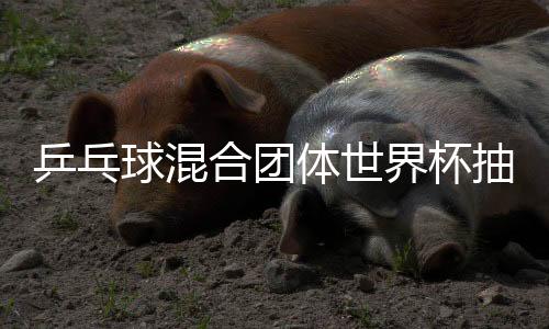 乒乓球混合团体世界杯抽签 国乒首秀战瑞典