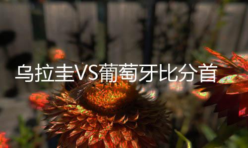 乌拉圭VS葡萄牙比分首发阵容预测 比赛分析谁会赢