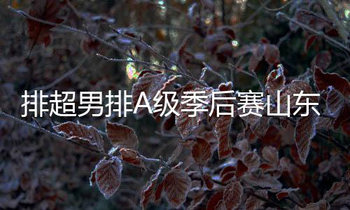 排超男排A级季后赛山东3