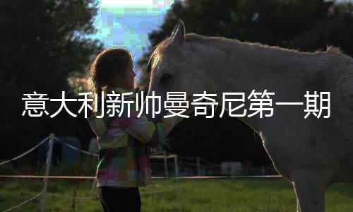 意大利新帅曼奇尼第一期国家队名单：巴洛特利回归