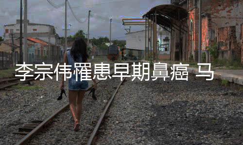 李宗伟罹患早期鼻癌 马来西亚羽协官方证实