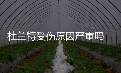 杜兰特受伤原因严重吗 勇士火箭第六场比赛还能参加吗