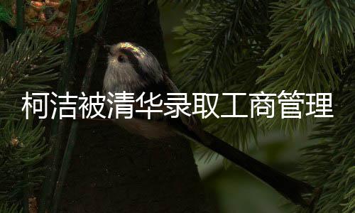 柯洁被清华录取工商管理类专业 围棋比赛职业生涯成绩一览